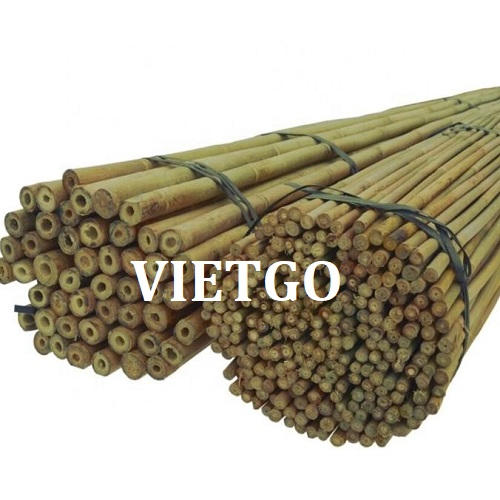 Cơ hội xuất khẩu 1 container 40ft gậy tre sang thị trường Úc