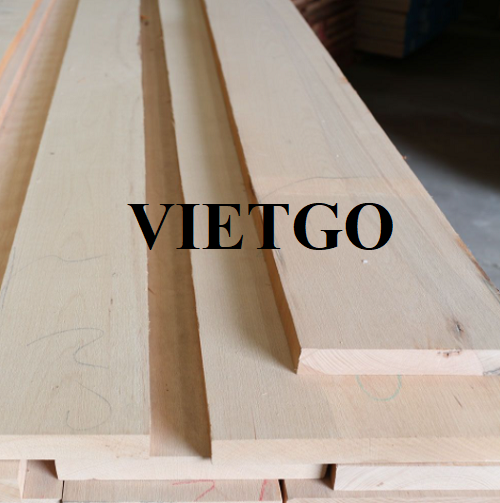 Thương vụ xuất khẩu gỗ dẻ gai xẻ sang thị trường Thổ Nhĩ Kỳ