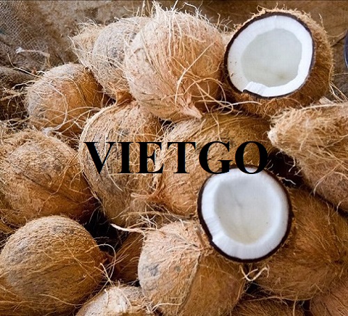 Thương vụ xuất khẩu dừa khô sang thị trường Thái Lan