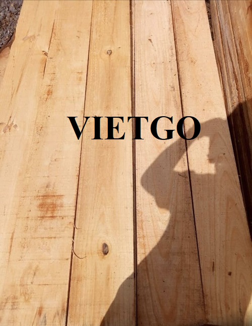 Thương vụ xuất khẩu gỗ thông xẻ sang thị trường Úc