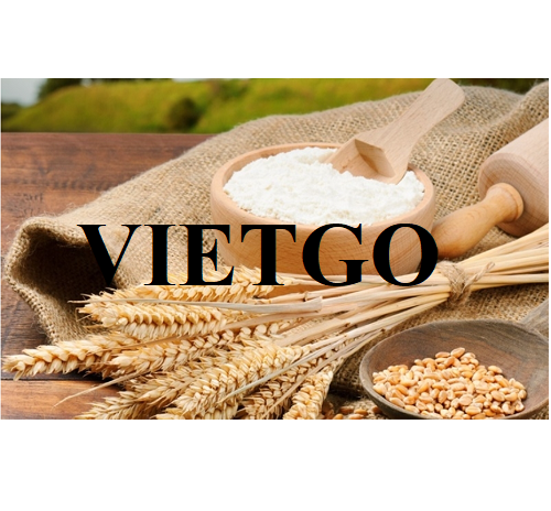 Cơ hội xuất khẩu bột mì sang thị trường Ả Rập Xê Út