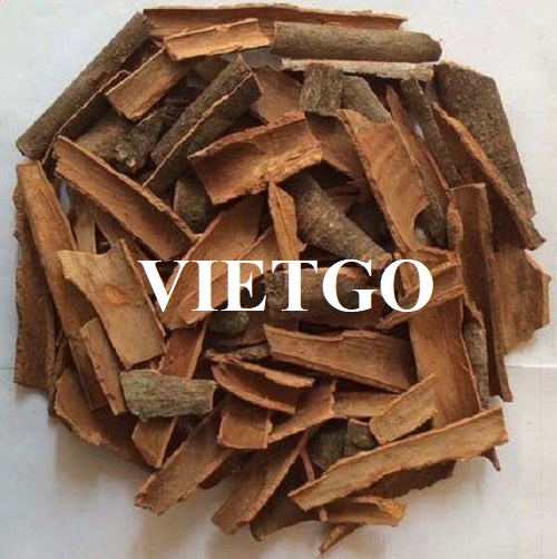 Cơ hội hợp tác với vị khách hàng người Ấn Độ cho đơn hàng xuất khẩu quế