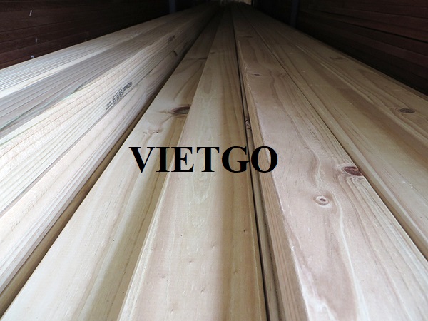 Đối tác người Singapore dự kiến nhập khẩu 5 container 40ft gỗ thông xẻ cho dự án sắp tới tại Úc