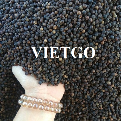 Cơ hội hợp tác với vị khách hàng người Ấn Độ cho đơn hàng xuất khẩu tiêu