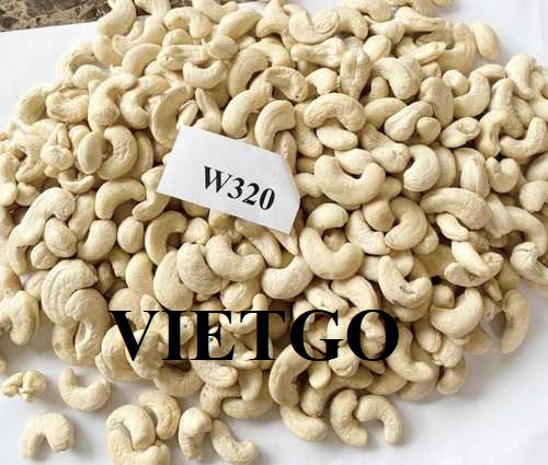 Thương vụ hợp tác xuất khẩu hạt điều sang thị trường Thổ Nhĩ Kỳ
