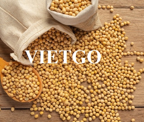 Cơ hội hợp tác xuất khẩu đậu nành dài hạn đến thị trường Trung Quốc