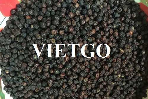 (Gấp) Thương vụ cung ứng hạt tiêu đen cho thị trường Thổ Nhĩ Kỳ