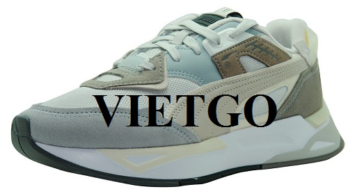 Cơ hội xuất khẩu sản phẩm giày bảo hộ lao động và giày thể tới thị trường Dubai