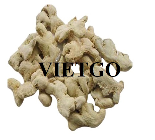 Thương vụ hợp tác xuất khẩu sản phẩm gừng sang thị trường Thổ Nhĩ Kỳ