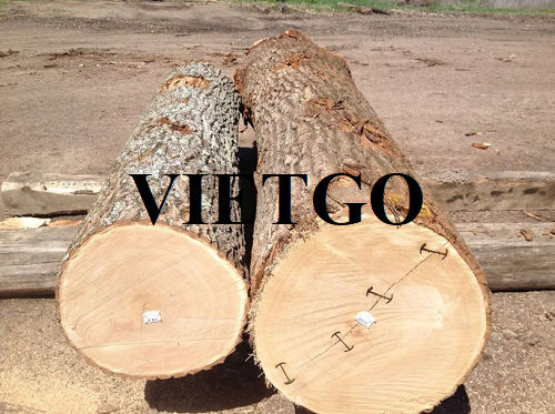 Thương vụ xuất khẩu gỗ sồi tròn sang thị trường Trung Quốc