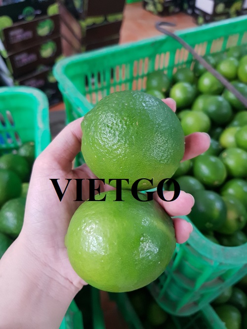 Cơ hội hợp tác với vị khách hàng đến từ Malaysia cho đơn hàng nhập khẩu chanh tươi