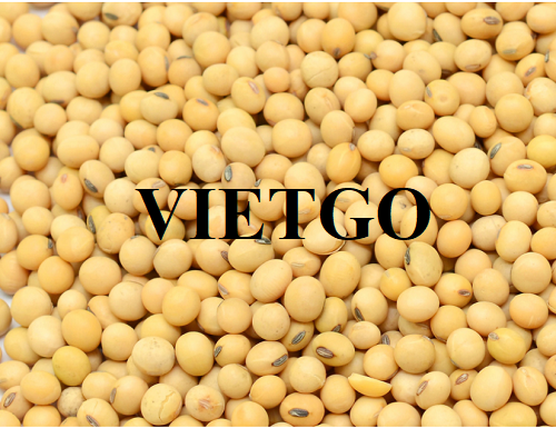 Cơ hội hợp tác với doanh nghiệp Thổ Nhĩ Kỳ cho đơn hàng đậu nành với số lượng lớn