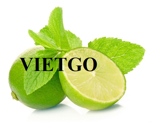 Đối tác Trung Quốc cần tìm nhà cung cấp mặt hàng chanh xanh