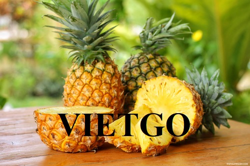 Cơ hội cung cấp dứa tươi cho một đối tác đến từ Ai Cập