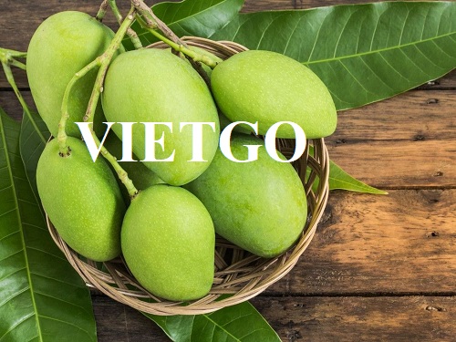 Cơ hội trở thành nhà cung cấp cho đơn hàng xuất khẩu xoài tươi sang thị trường Mỹ