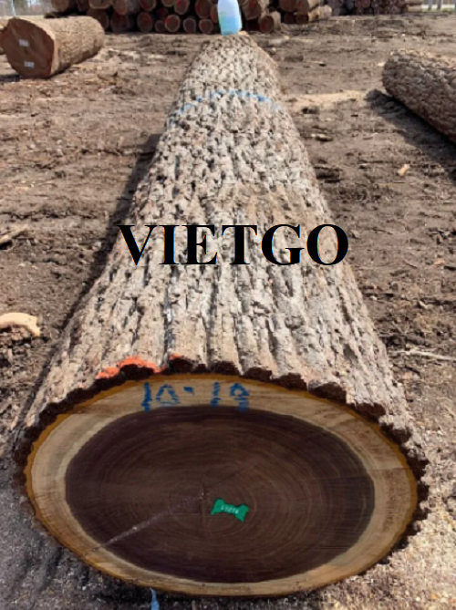 Thương vụ xuất khẩu gỗ óc chó tròn sang thị trường Thổ Nhĩ Kỳ