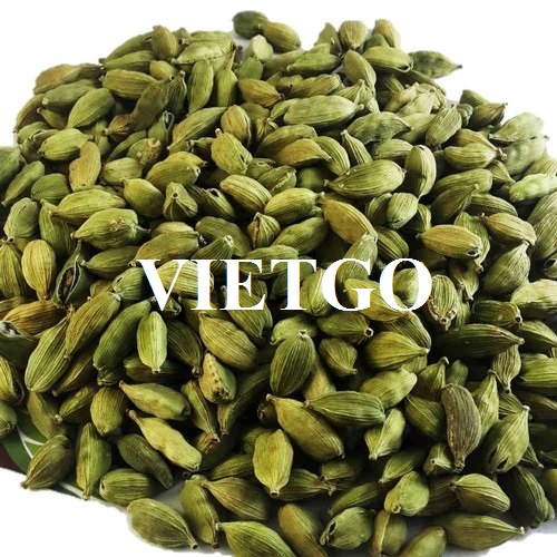 Thương vụ hợp tác với doanh nghiệp UAE cho đơn hàng xuất khẩu thảo quả xanh