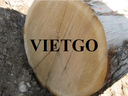 Thương vụ xuất khẩu gỗ sồi tròn sang thị trường Thổ Nhĩ Kỳ