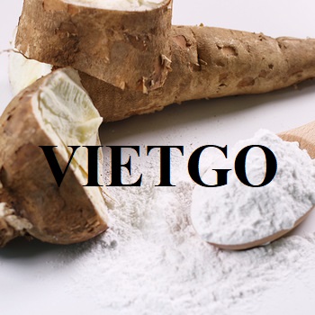 Cơ hội xuất khẩu tinh bột sắn sang thị trường Trung Quốc