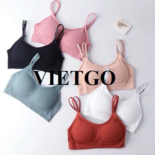 Cơ hội cung cấp sản phẩm áo lót nữ sang thị trường Nam Phi