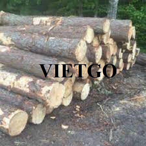 Thương vụ xuất khẩu gỗ thông tròn sang thị trường Bangladesh