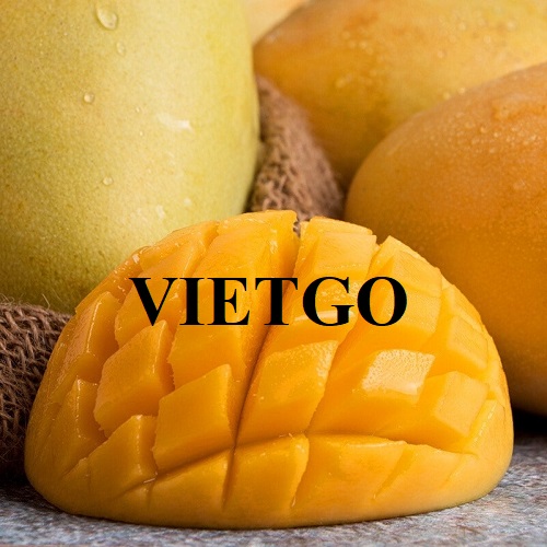 Đối tác Việt Nam cần tìm nhà cung cấp cho đơn hàng xuất khẩu xoài tươi sang thị trường Nhật Bản