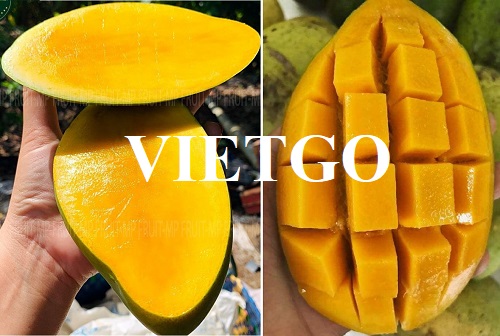 Thương vụ xuất khẩu xoài tươi sang thị trường Indonesia