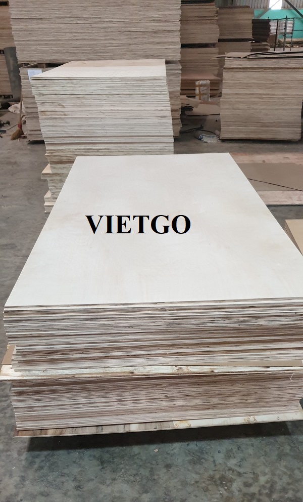 Đối tác người Ấn Độ dự kiến nhập khẩu gỗ dán cho dự án sắp tới