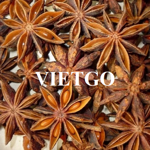 Cơ hội hợp tác với doanh nghiệp lớn tại Trung Quốc cho đơn hàng xuất khẩu hoa hồi