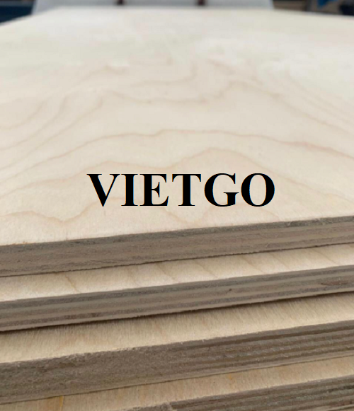 Thương vụ xuất khẩu gỗ dán sang thị trường Mexico
