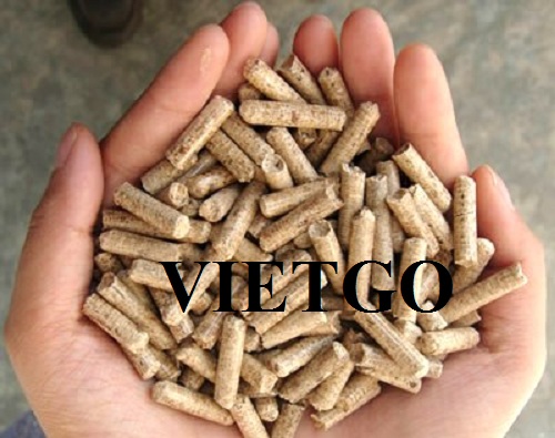 Cơ hội xuât khẩu sản phẩm viên nén mùn cưa đến thị trường Bỉ