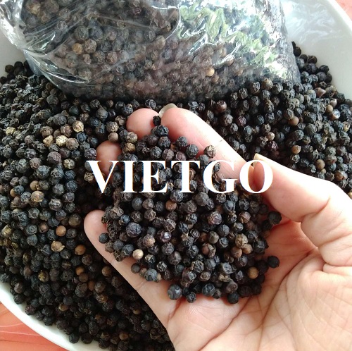 Cơ hội hợp tác với doanh nghiệp tại Ấn Độ để xuất khẩu sản phẩm hạt tiêu