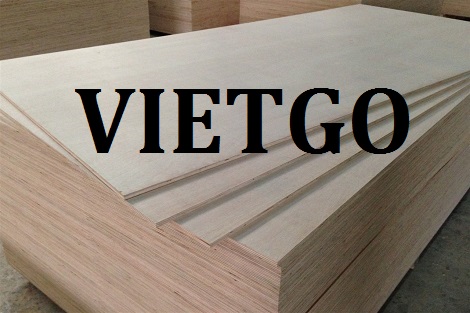 Đối tác người Mỹ dự kiến nhập khẩu gỗ dán cho dự án sắp tới