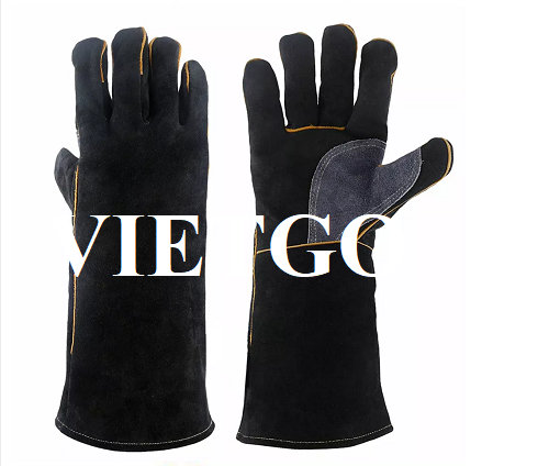 Cơ hội cung cấp găng tay lao động cho một trong những nhà sản xuất quần áo da hàng đầu tại Mỹ
