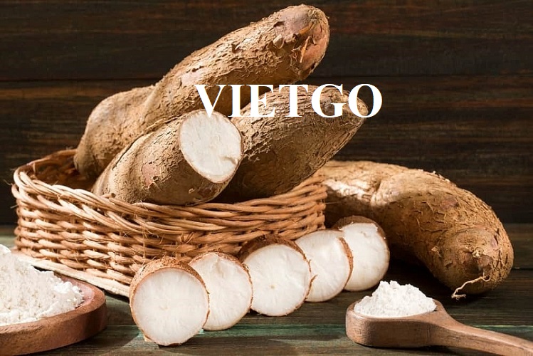 Thương vụ hợp tác xuất khẩu sắn lát sang thị trường Trung Quốc