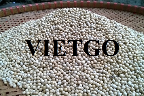 Thương vụ xuất khẩu hạt tiêu sang thị trường Ai Cập