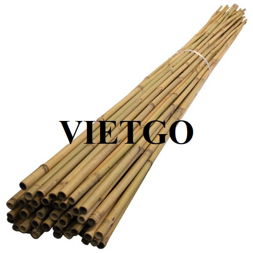 Đối tác người Belarus cần nhập khẩu 1 container 20ft gậy tre khô