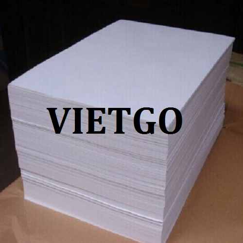 Thương vụ xuất khẩu giấy A4 sang thị trường Kuwait và Qatar