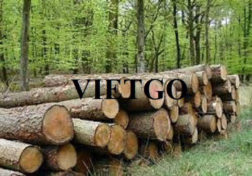 Thương vụ xuất khẩu gỗ keo tròn sang thị trường Bangladesh
