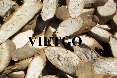 Cơ hội hợp tác với doanh nghiệp tại Lithuania cho đơn hàng xuất khẩu sắn lát với số lượng lớn hàng tháng
