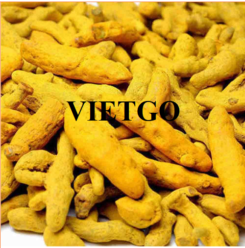 Cơ hội hợp tác với doanh nghiệp tại Dubai cho đơn hàng nghệ với số lượng lớn