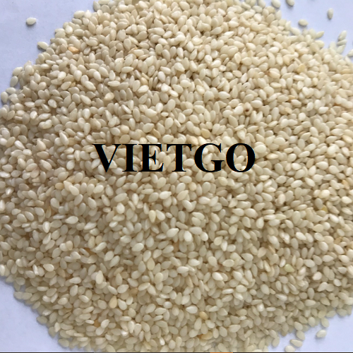 Cơ hội hợp tác với doanh nghiệp ở Canada cho đơn hàng hạt mè