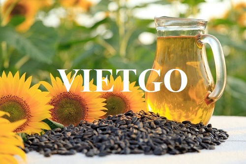 Cơ hội hợp tác xuất khẩu mặt hàng dầu hướng dương đến thị trường Hà Lan