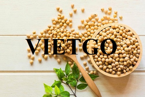 Thương vụ xuất khẩu đậu nành đến từ vị khách hàng người Mỹ