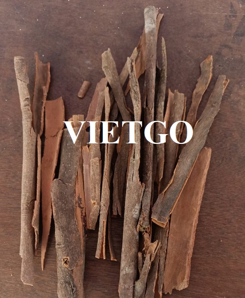 Thương vụ hợp tác với doanh nghiệp Ấn Độ cho đơn hàng xuất khẩu các sản phẩm quế