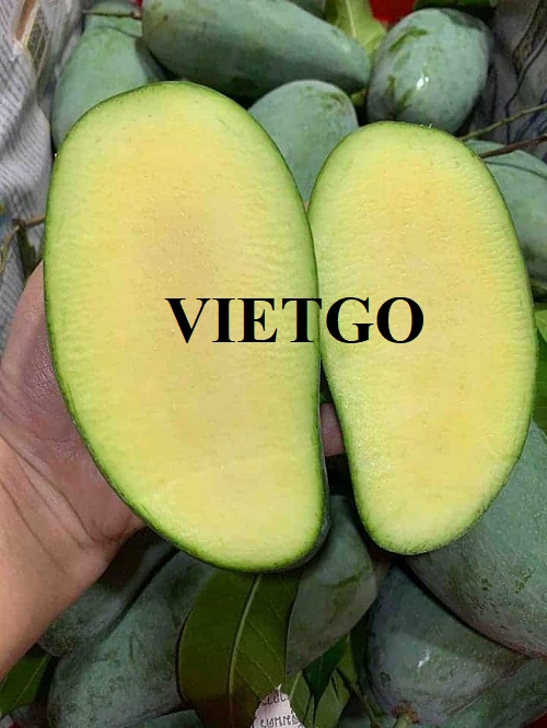 Đối tác Việt Nam cần tìm nhà cung cấp cho đơn hàng xuất khẩu xoài tươi sang thị trường Úc