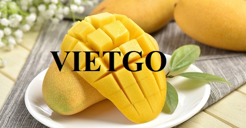 Cơ hội hợp tác với vị khách hàng đến từ Thổ Nhĩ Kỳ cho đơn hàng xuất khẩu xoài