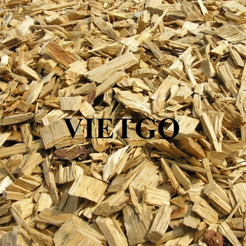 Đối tác người Indonesia dự kiến nhập khẩu 50.000 tấn gỗ vụn cho dự án sắp tới tại Trung Quốc