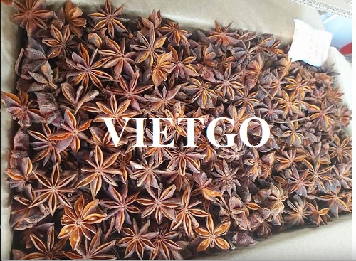 Thương vụ hợp tác với doanh nghiệp Ấn Độ cho đơn hàng xuất khẩu hoa hồi