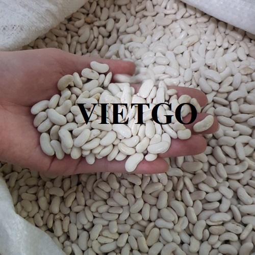 Cơ hội hợp tác xuất khẩu hạt đậu nành đến thị trường Iran